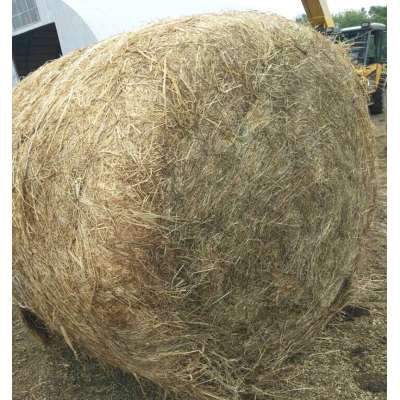 Farmer's HDPE hay bale net wrap agriculture use