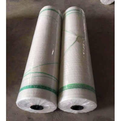 HDPE biodegradable bale net wrap high quality export to Vietnam